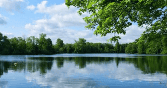 Wandern mit Reinhard: „Zum Unterbacher See“ 
